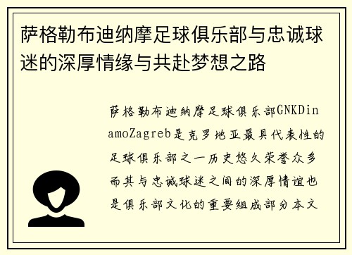 萨格勒布迪纳摩足球俱乐部与忠诚球迷的深厚情缘与共赴梦想之路