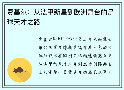 费基尔：从法甲新星到欧洲舞台的足球天才之路